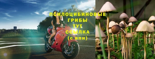 шишки Алексеевка